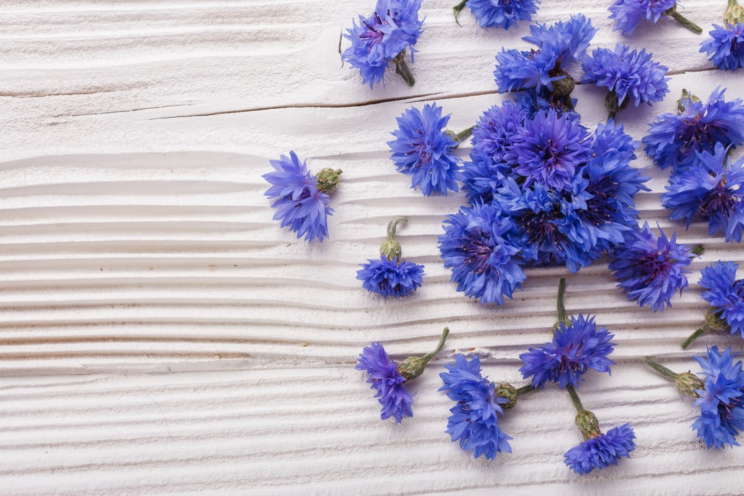 ヘレンド      コーンフラワー　矢車菊　テテアテテ　トレイ付きセット ヘレンド コーンフラワー 矢車菊 テテアテテ トレイ付きセット - メルカリ