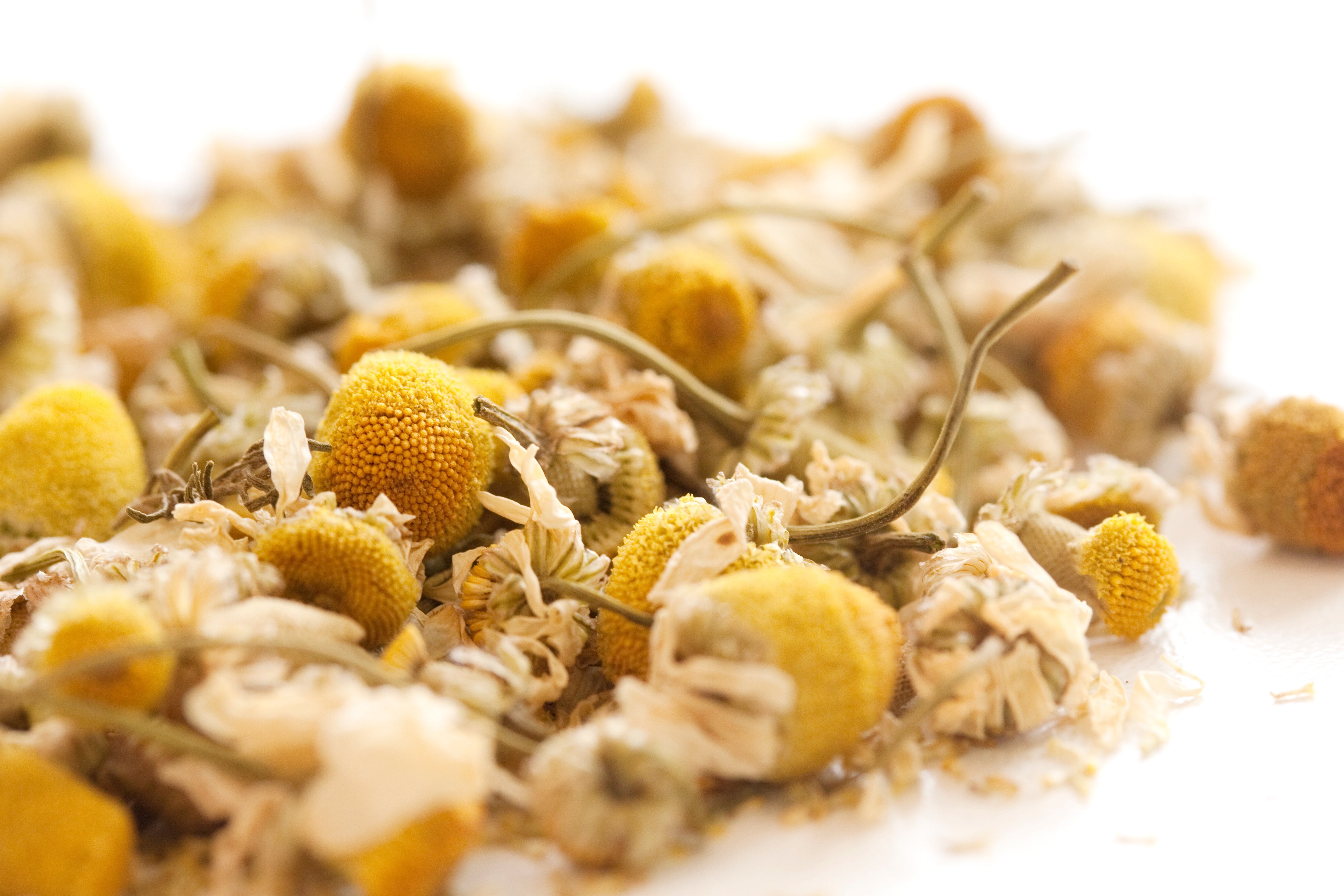 marien-kamille-A4_122.jpg?v=