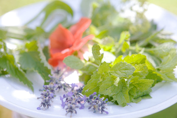 ヴィーガンコスメは動物由来成分0%、マリエンのアイテムにもあります