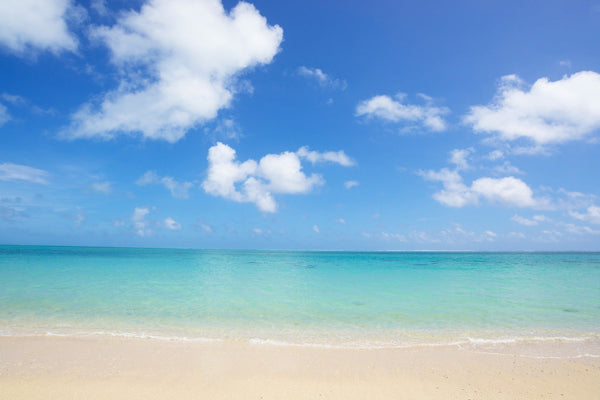 「海の日」・自然環境に配慮したマリエンのアイテムづくり