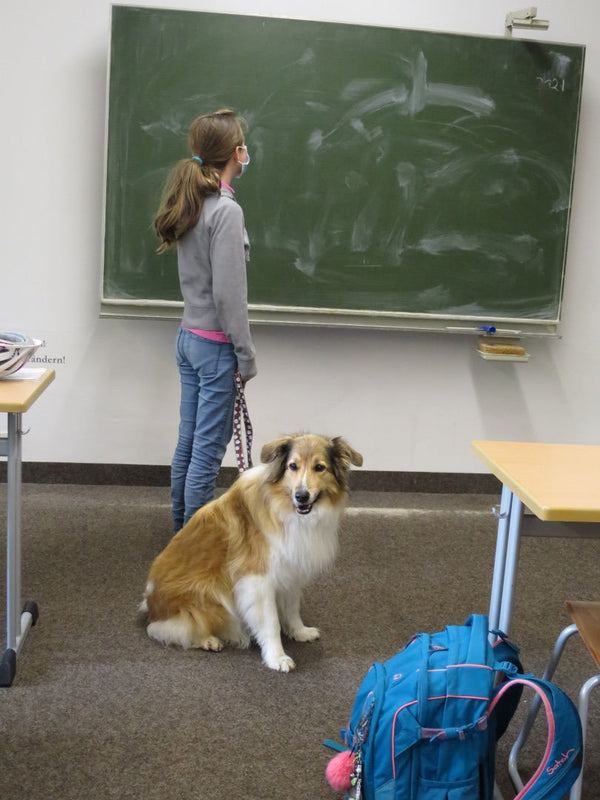 ドイツ　バイエルン州の学校で活躍する「スクール・ドッグ」と生徒。マリエンのドイツ通信から