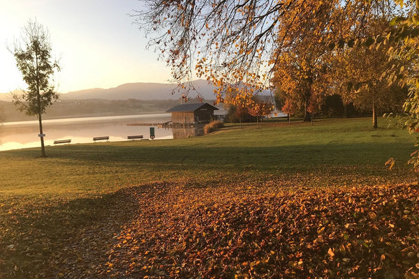 （秋のおすすめアイテム）空気が乾燥しやすい秋は「潤い」を意識して