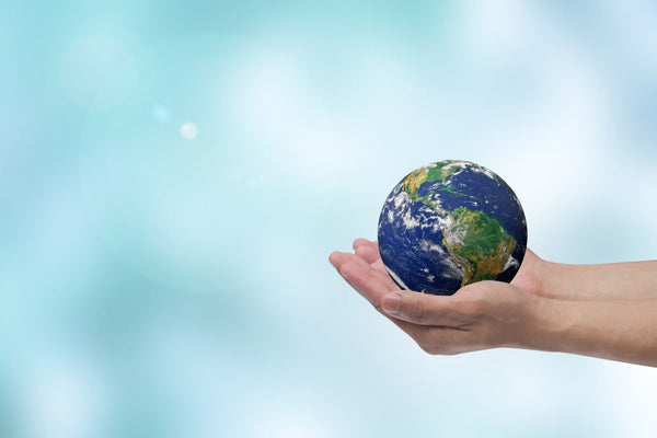 【環境月間】サステナビリティにつながるエコサート認証のマリエンスキンケアアイテム