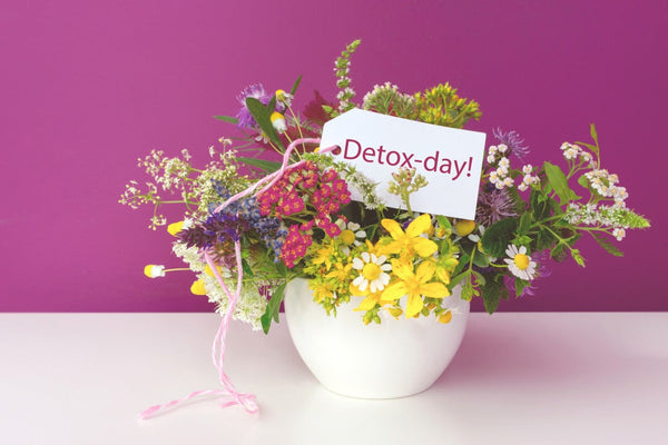 【ドイツ流　春のデトックス生活】心身ともに軽やかに