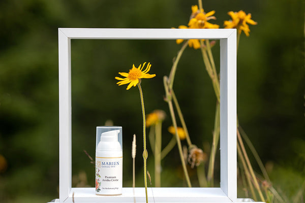 マリエン | ドイツハーブのエコサート認証オーガニック化粧品「アルニカクリームプレミアム」とアルニカ花の風景写真