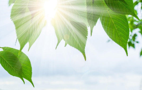 目も夏バテ！？ぎらつく太陽やエアコンの影響で目には過酷な季節