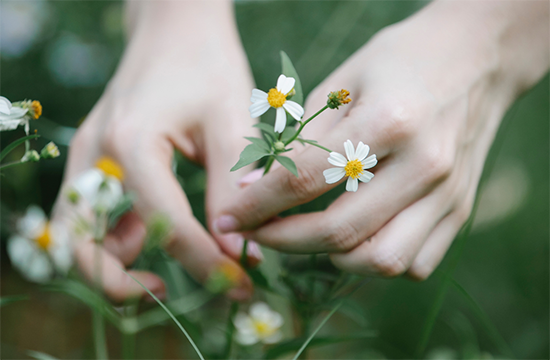 野の花を摘む女性の手