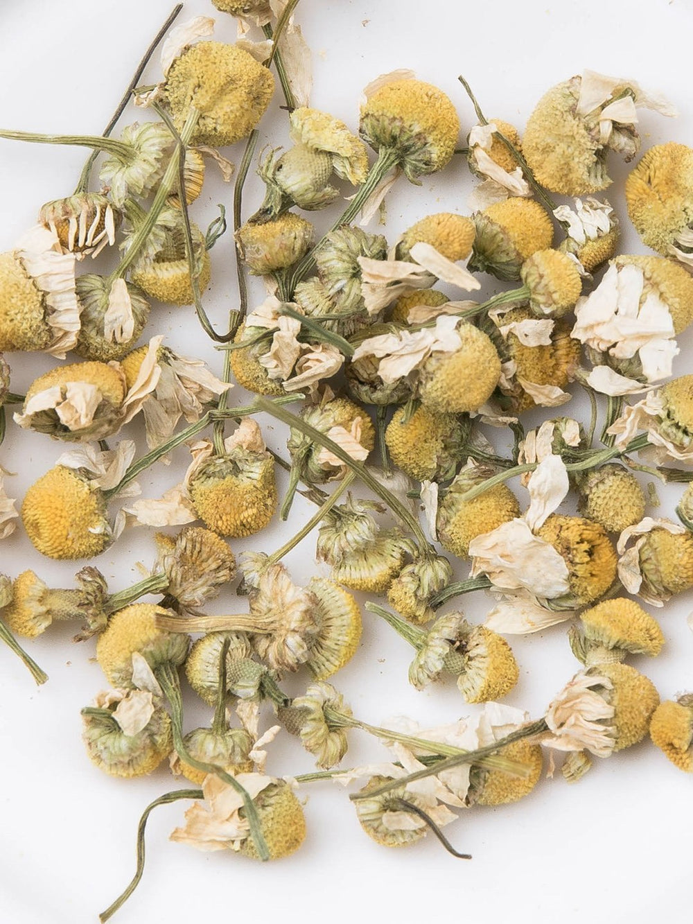 送料無料定期便カモミールティー】オーガニックのジャーマンカモミール